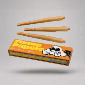 Flying Papers Brown Cones 6pk